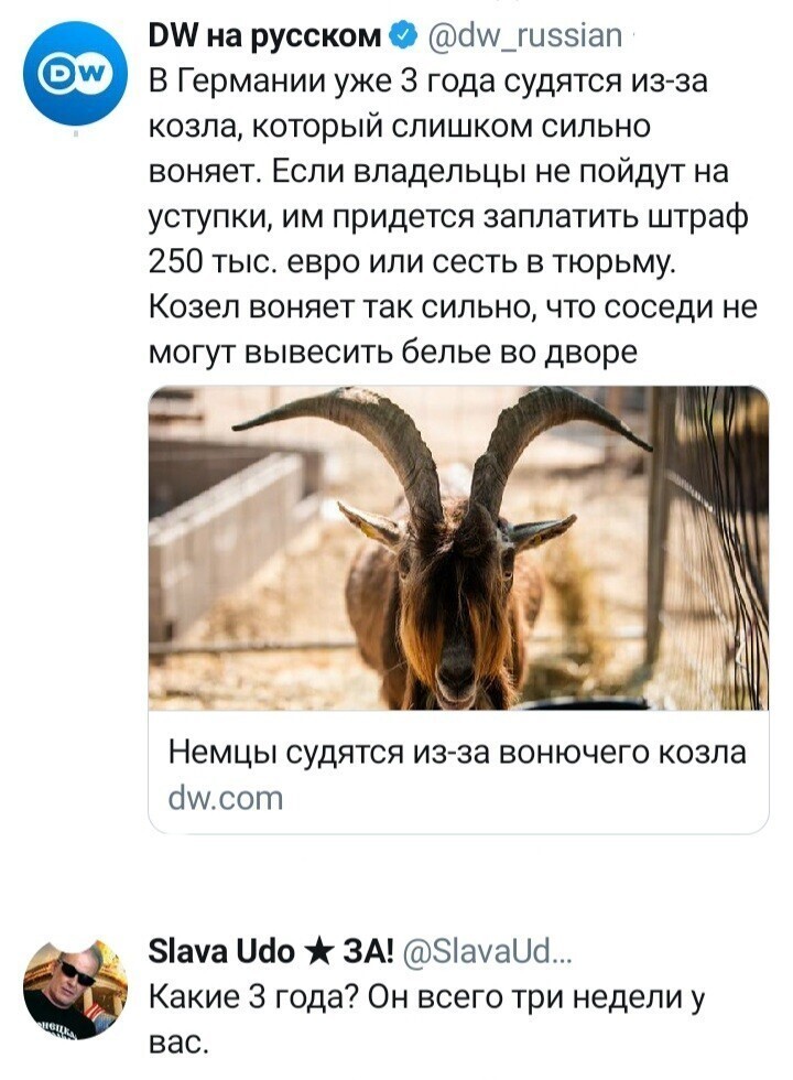 Политические комментарии из инета