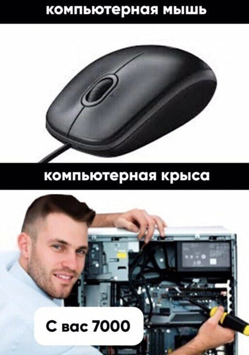 Прикольные и смешные картинки