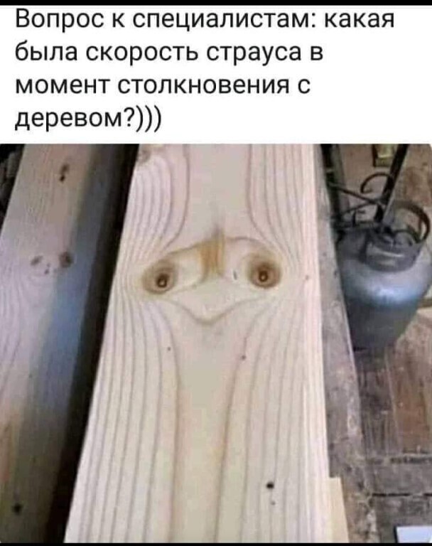 Хохотальня