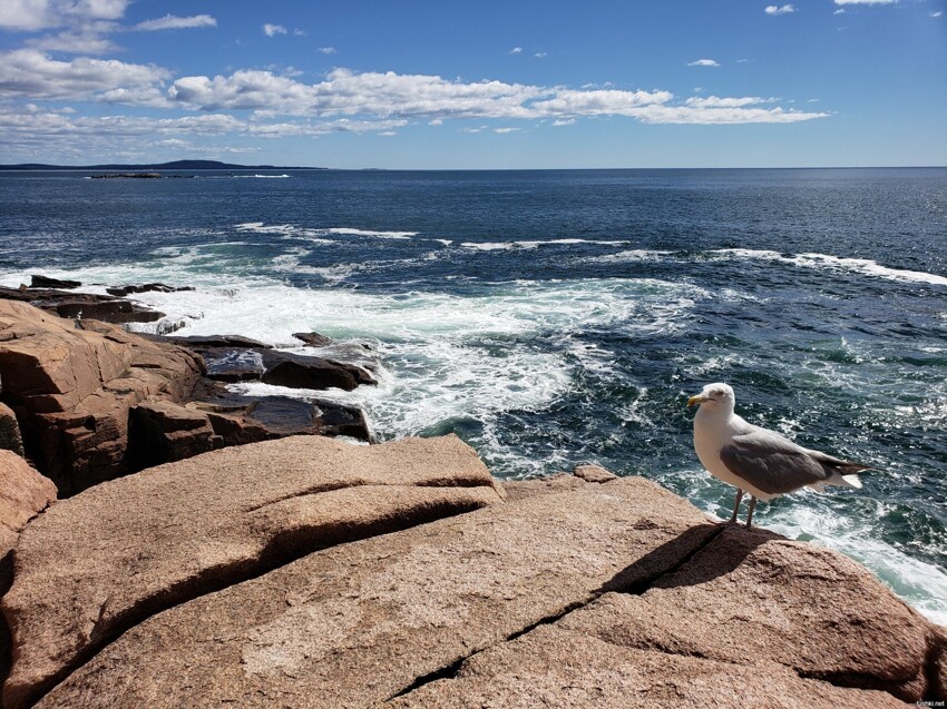 Sand Beach Overlook