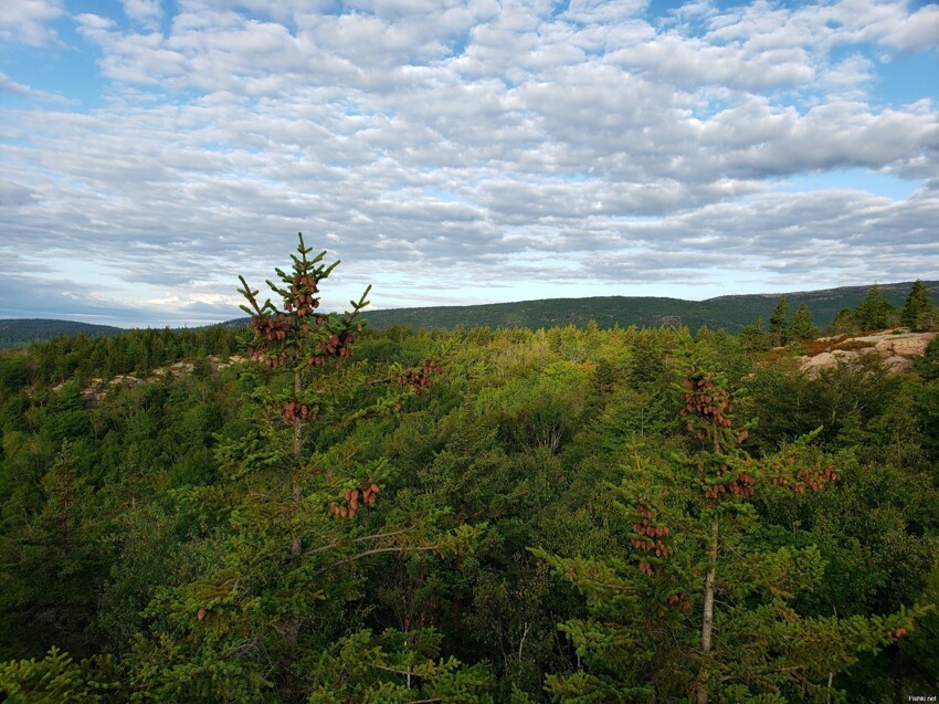 Beehive Mountain (Гора Улей)