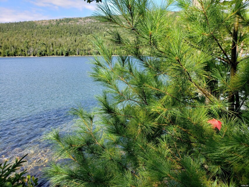 Jordan Pond