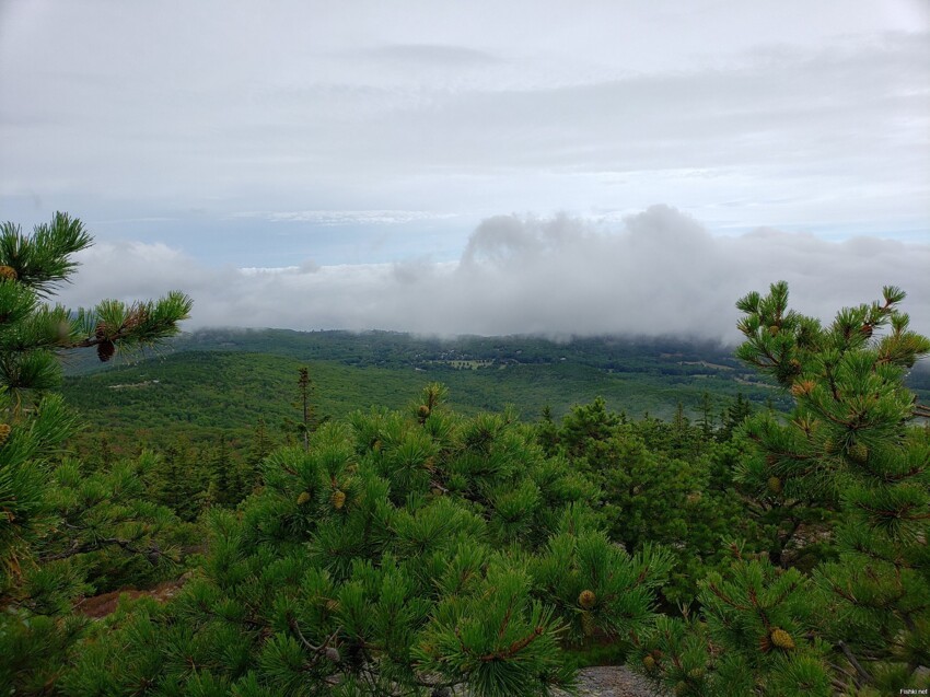 Cadillac Mountain в 5 фото