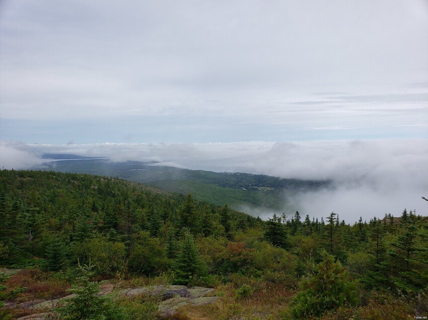 Cadillac Mountain в 5 фото