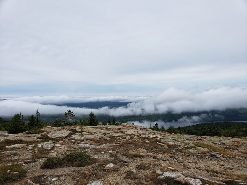 Cadillac Mountain в 5 фото