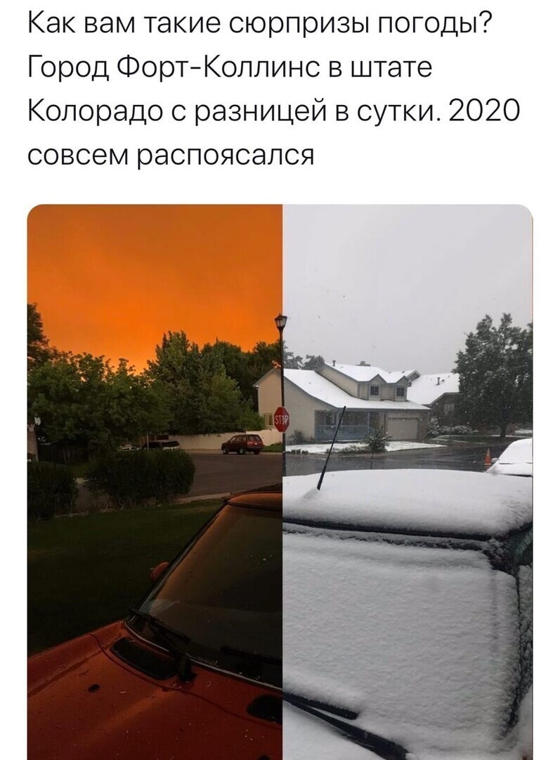 Политические комментарии из инета