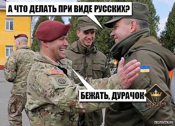 Политические комментарии из инета