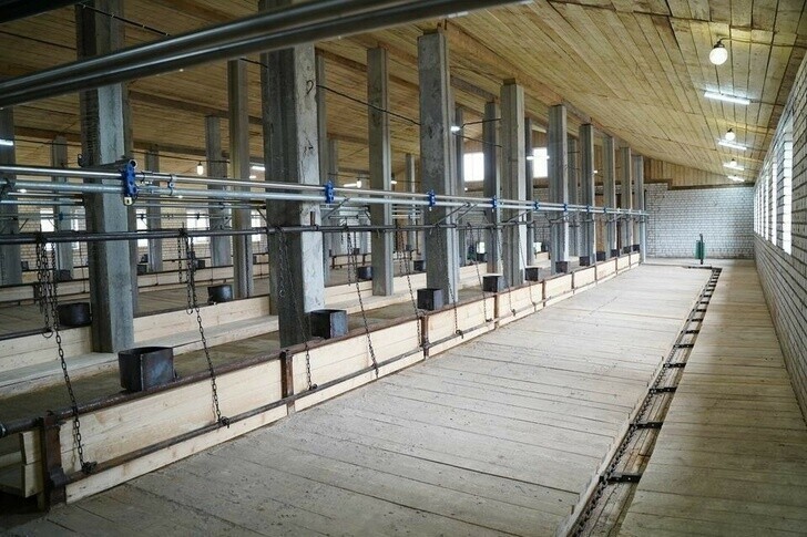  Новую животноводческую ферму на 200 голов открыли в Первомайском районе Ярославской области
