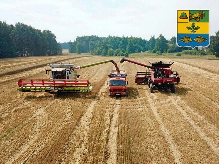 В Рязанской области установили абсолютный рекорд по сбору зерна 