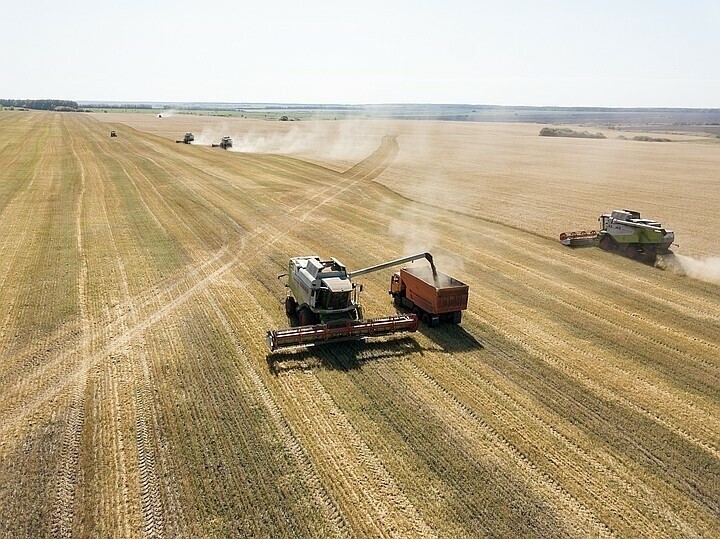 Пензенские труженики села собрали рекордный урожай зерна с 1990 года