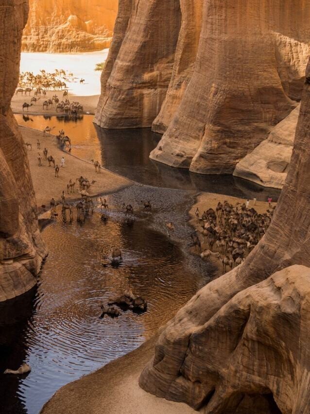 Гельта д’Аршей — самый известный постоянный источник воды в Чаде