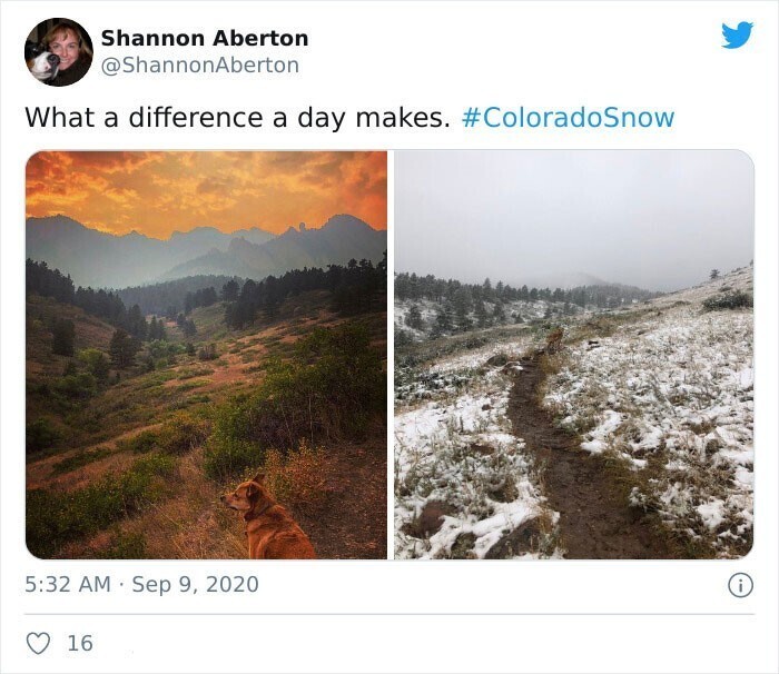 Из тропиков в зиму! В Колорадо выпал снег после рекордной жары