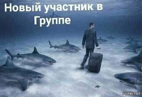 Новенький в Солянке