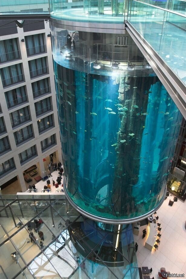 Самый большой в мире аквариум цилиндрической формы, установленный, к слову, в...