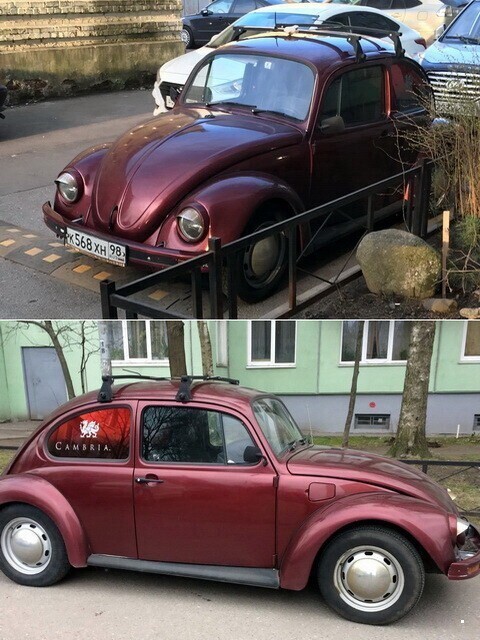 Volkswagen Beetle Вам в ленту