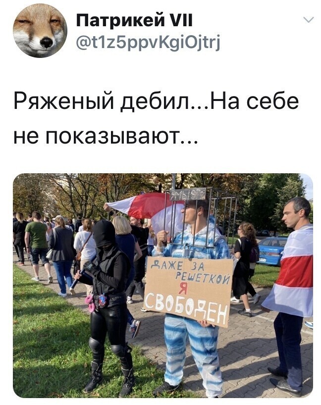 Политические комментарии из инета