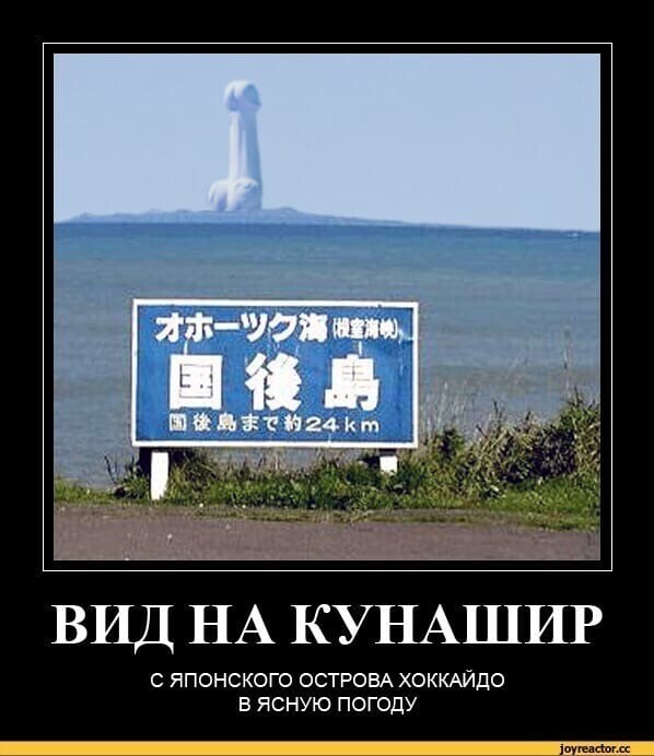 Политические комментарии из инета