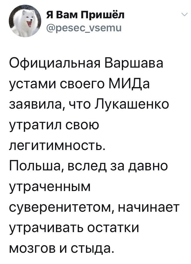 Политические комментарии из инета