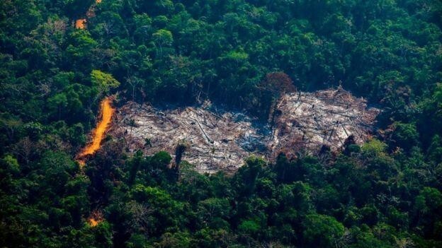 Пожар в лесах Амазонки