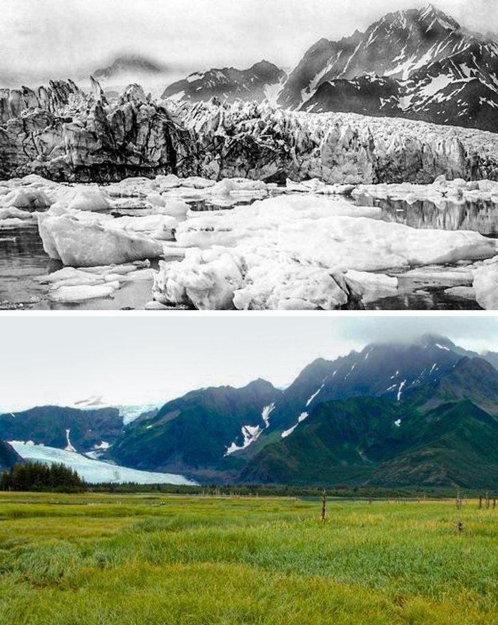 Ледник Педерсен, Аляска, 100 лет назад и наши дни