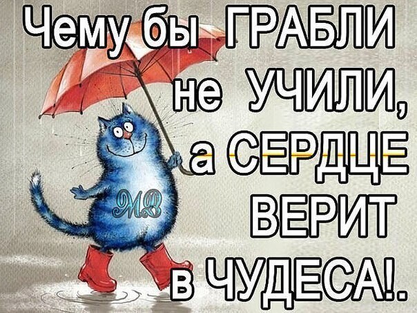 Политические комментарии из инета