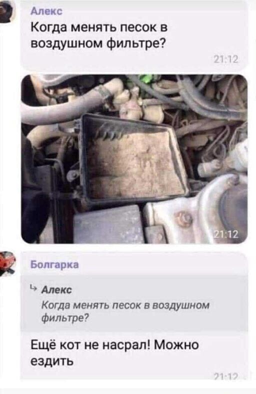 Прикольные и смешные картинки