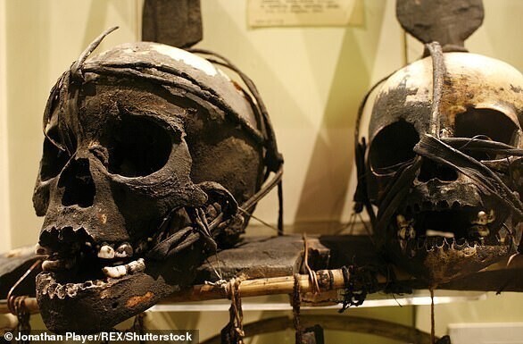 Оксфордский музей отказался от сушеных голов из-за расизма