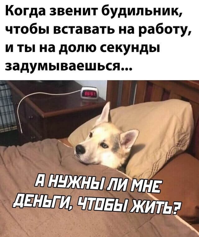 Намешалось