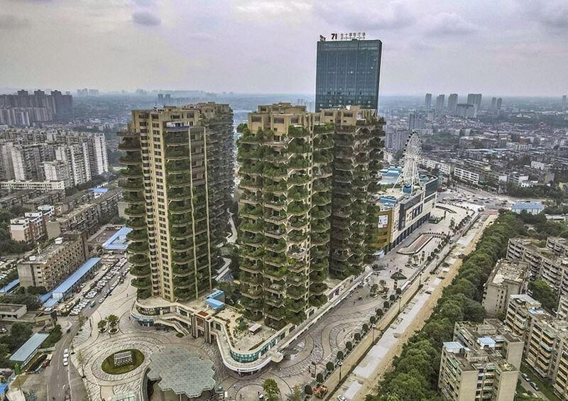 Новый жилой комплекс в Китае зарос зеленью и оккупирован комарами