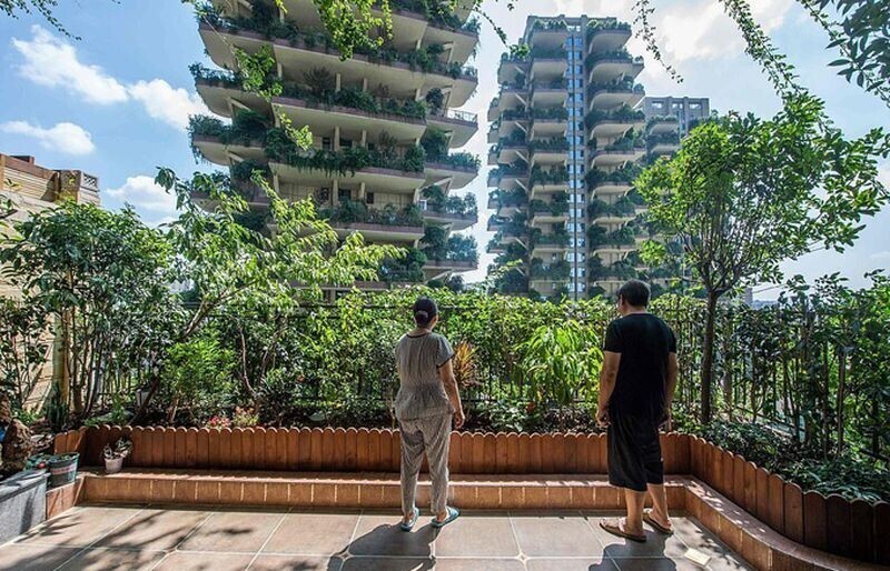 Новый жилой комплекс в Китае зарос зеленью и оккупирован комарами
