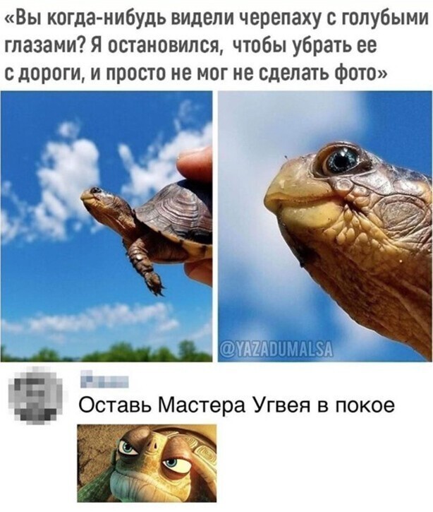 Прикольные и смешные картинки