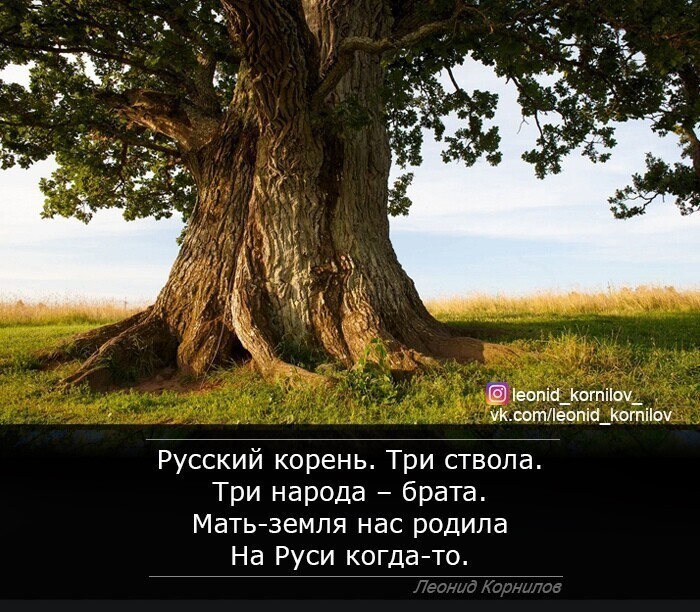 С таким братьями и врагов не надо