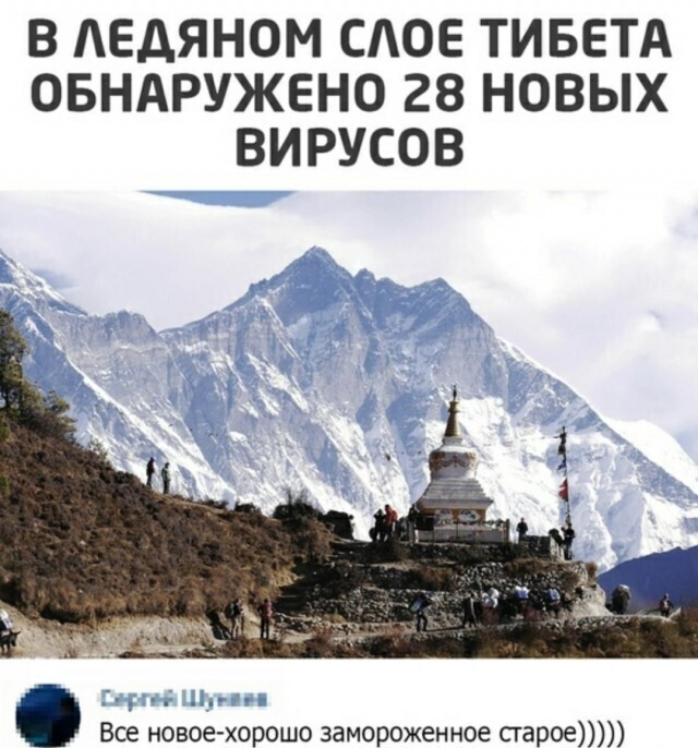 Скрины из социальных сетей