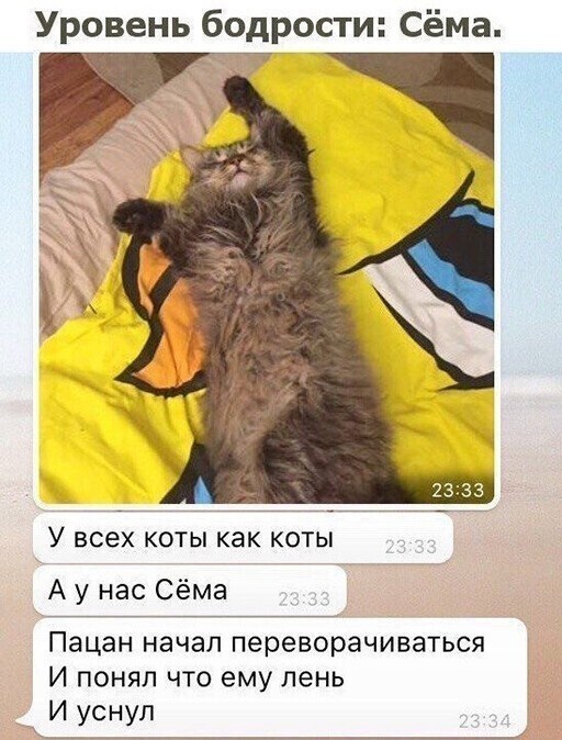 Скрины из социальных сетей