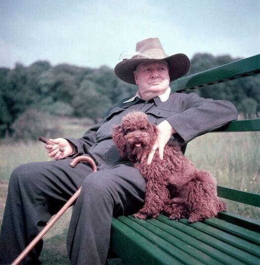 Уинстон Черчилль со своей собакой по кличке Руфус. 1950 год.