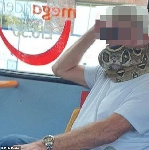 Мужчина проехался в автобусе с огромной змеей на шее