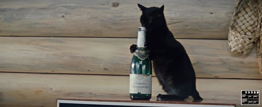 В фильме "Бриллиантовая рука" актеры, включая кота часто появляются с бутылкой Советского шампанского