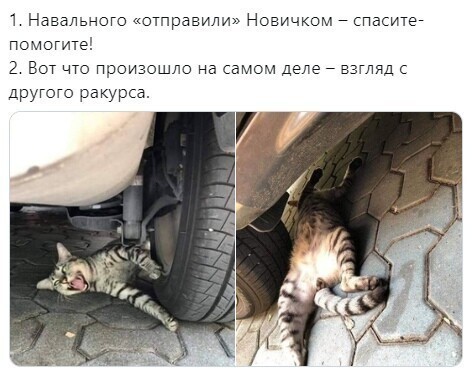 Политические комментарии из инета
