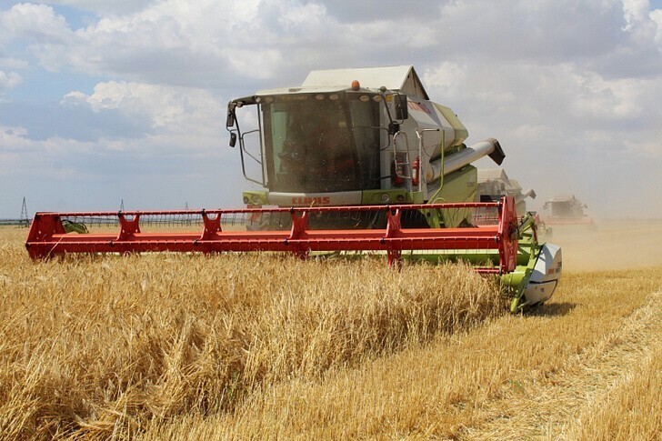 В Тульской области собран рекордный урожай зерновых культур