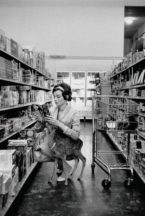Одри Хепберн делает покупки со своим домашним любимцем, 1958 год.
