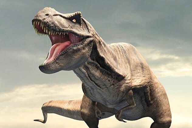 Тираннозавры были слишком медлительны, чтобы преследовать и догонять
