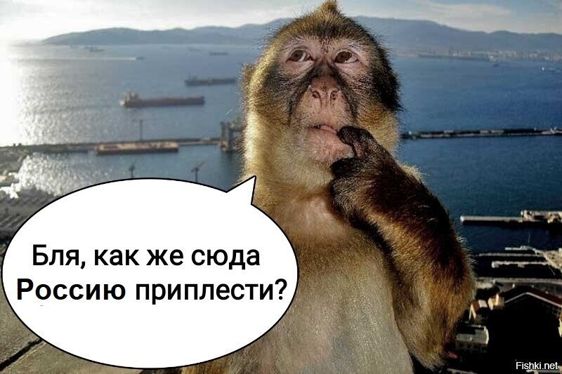 Политические комментарии из инета