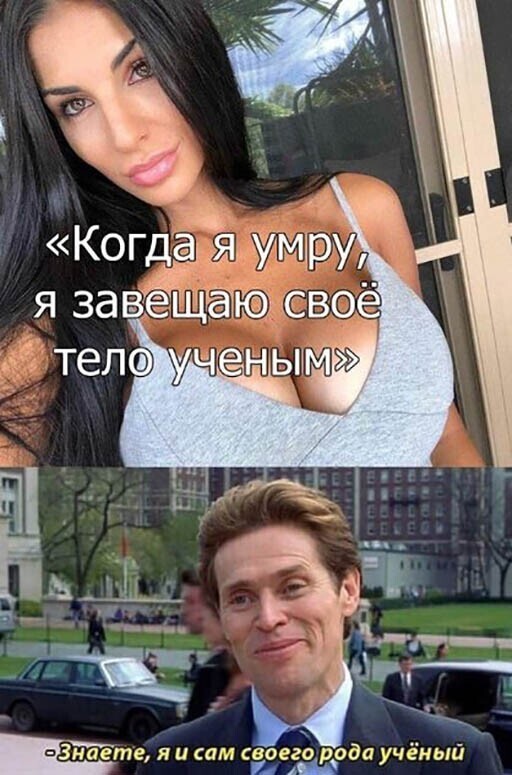 Прикольные и смешные картинки