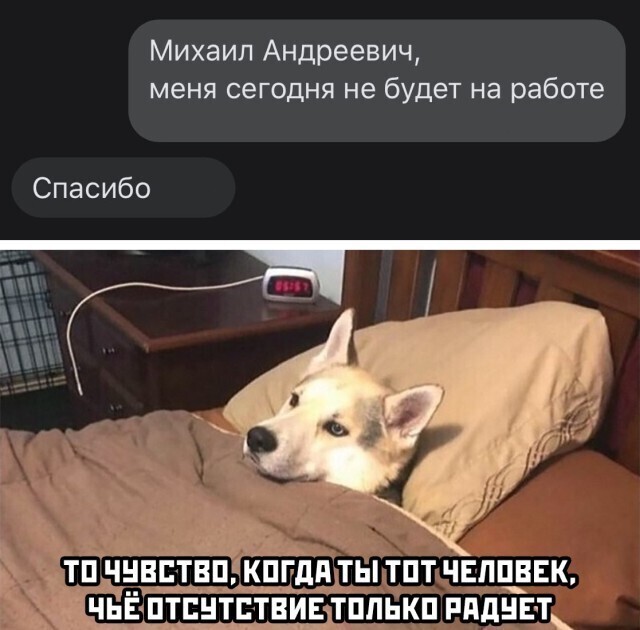 Намешалось