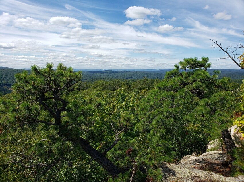 Harriman State Park, занимающий 47 527 акров, является вторым по величине гос...