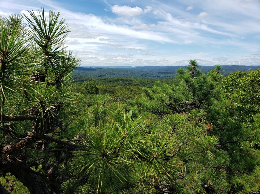 Harriman State Park, занимающий 47 527 акров, является вторым по величине гос...