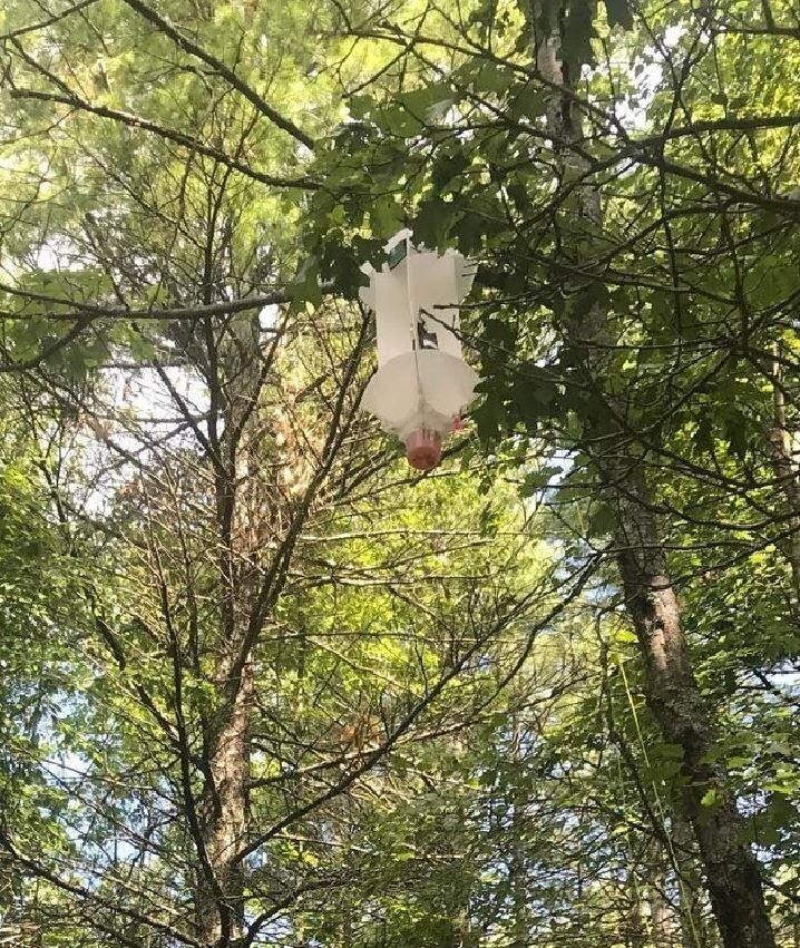Находки, которые люди обнаружили во время прогулки в лесу