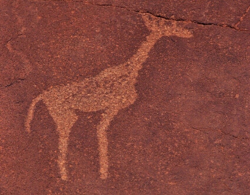 Сиватерий: Антилопа + жираф + лось = таинственное чудище, которое застали наши предки
