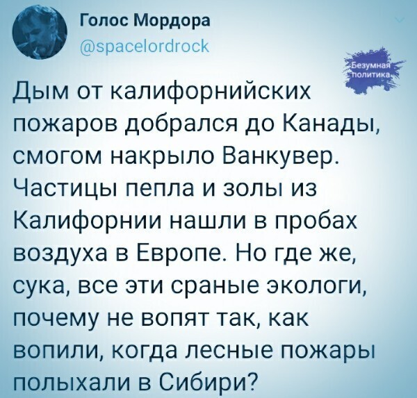 Политические комментарии из инета