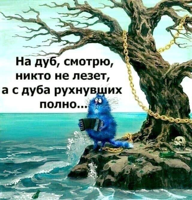 Политические комментарии из инета